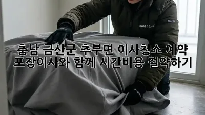 충남 금산군 추부면 이사청소 예약: 포장이사와 함께 시간&비용 절약하기