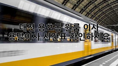 대전 용호동 원룸 이사? 용달이사 시간표 확인하세요!